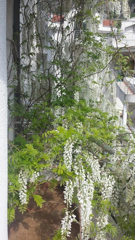 Roman Gardens Studio Apartment Risan Exterior photo